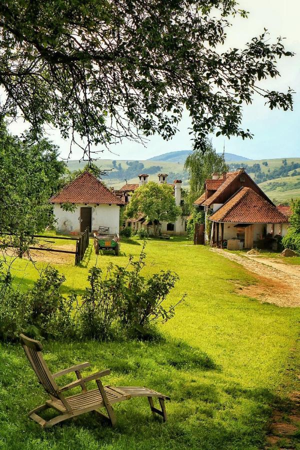 Count Kalnoky'S Transylvanian Guesthouses Miklósvár Kültér fotó