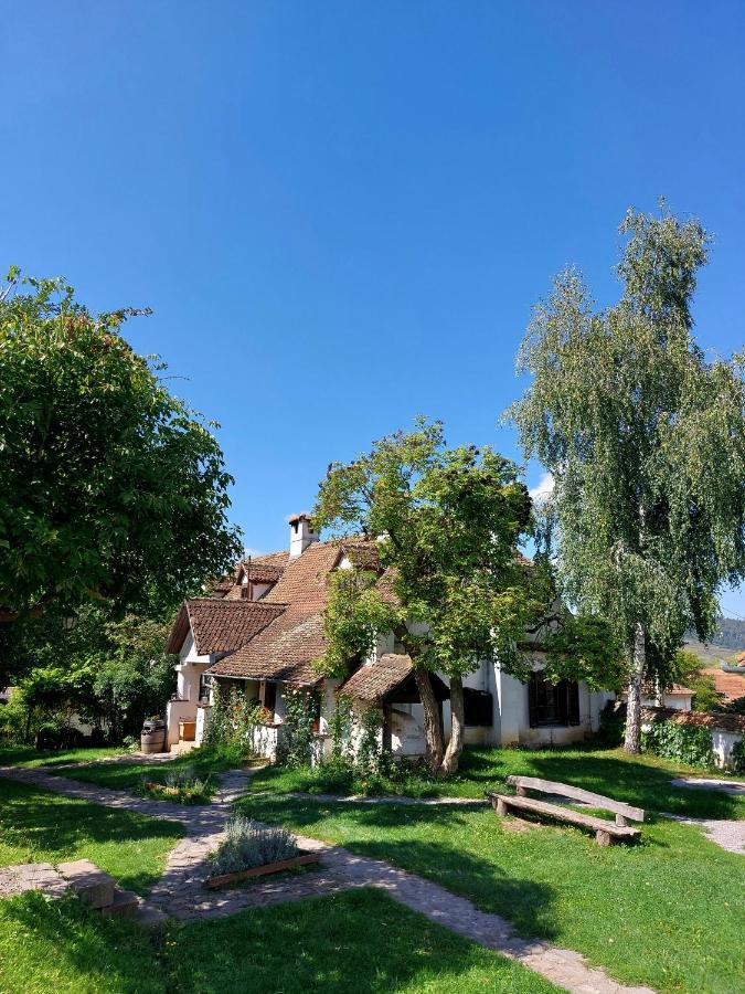 Count Kalnoky'S Transylvanian Guesthouses Miklósvár Kültér fotó
