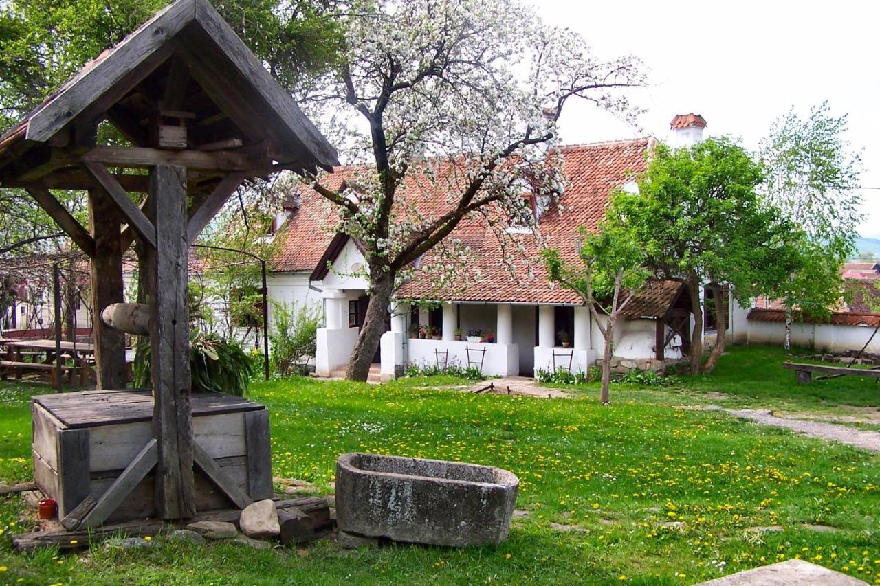 Count Kalnoky'S Transylvanian Guesthouses Miklósvár Kültér fotó