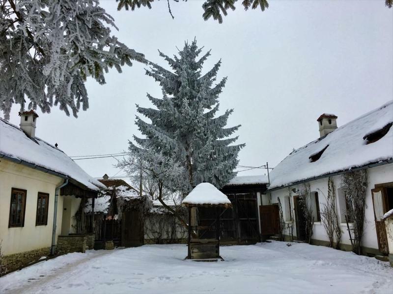 Count Kalnoky'S Transylvanian Guesthouses Miklósvár Kültér fotó