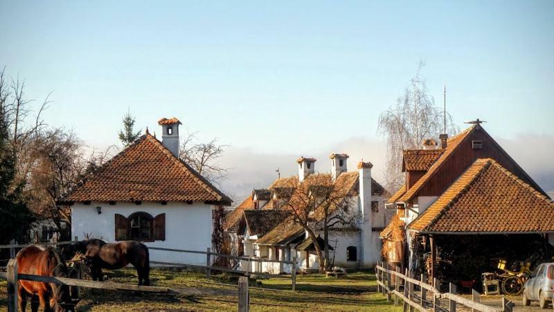 Count Kalnoky'S Transylvanian Guesthouses Miklósvár Kültér fotó